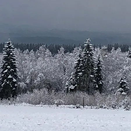 Arden Parks L'abbaye Κάμπινγκ *